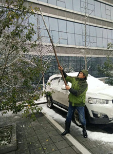 640.webp (9)_副本.jpg