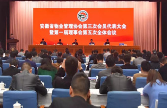 640.webp (31)_副本.jpg