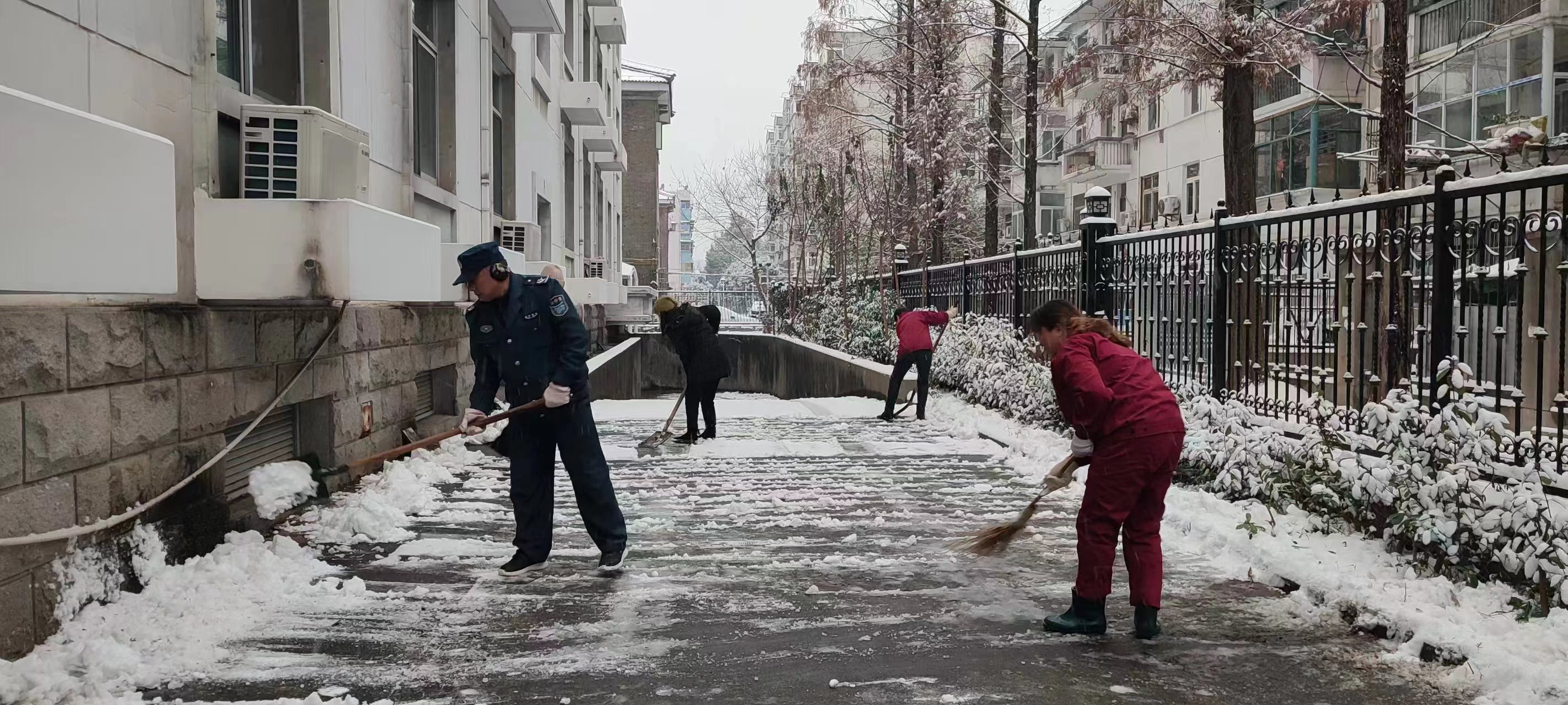 微信图片_20231219130359.jpg