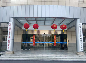 合肥临淮岗_副本.jpg